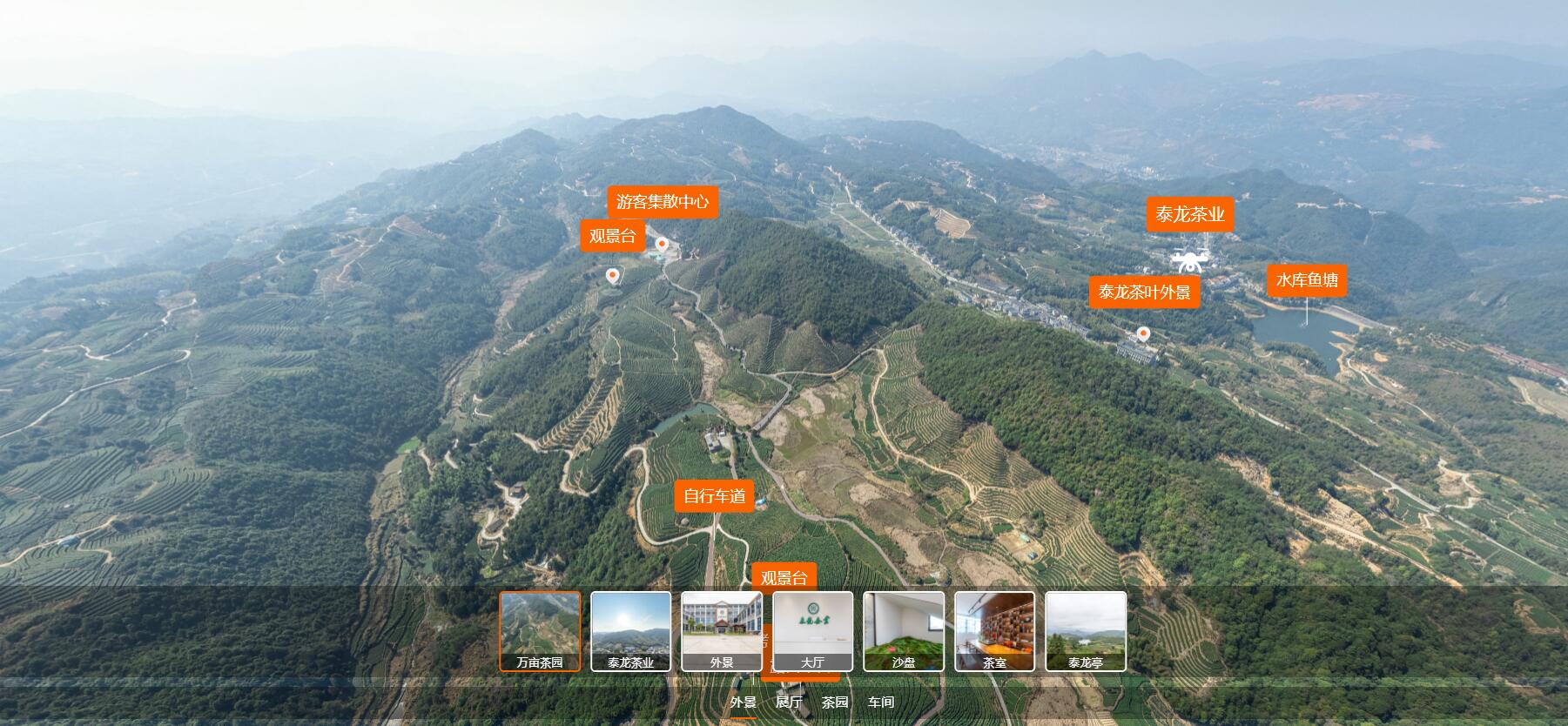 泰顺万亩茶园